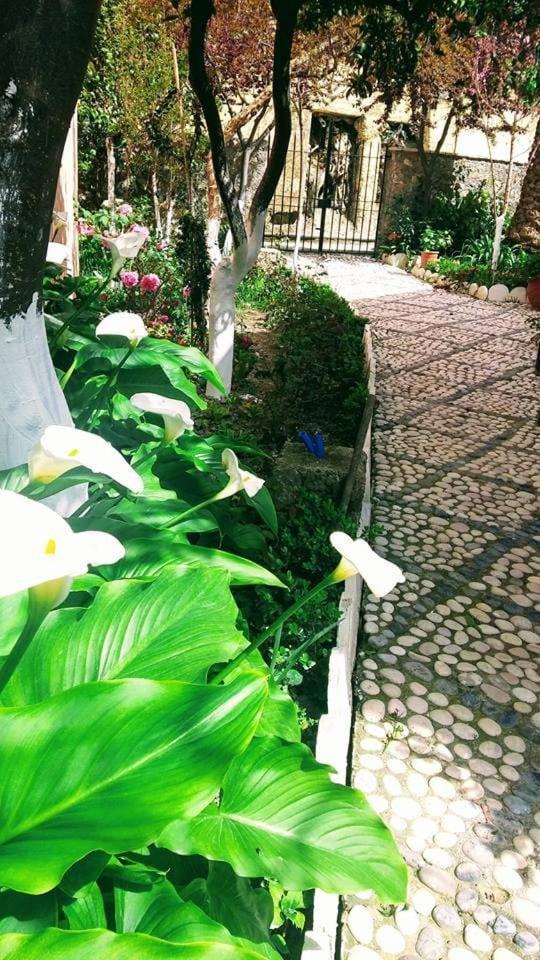 Katerina'S Apartments Agios Gordios  Exterior foto